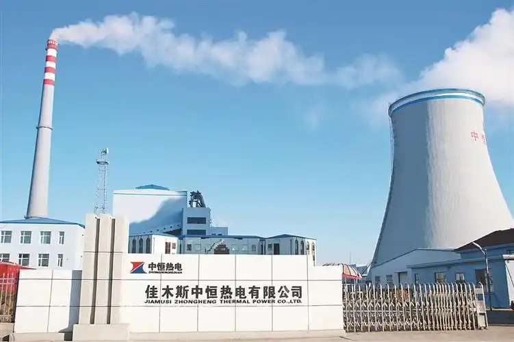 佳木斯中恒热电有限公司.png